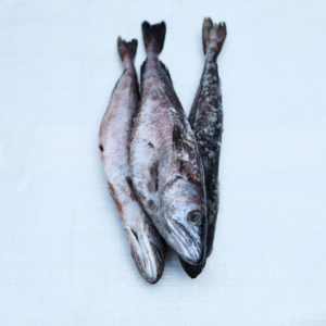 Hake Fish per kg