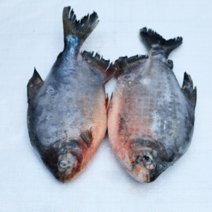 Red Fish (Òwèrè) per kg