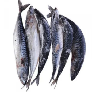 Titus / Aláràń per kg