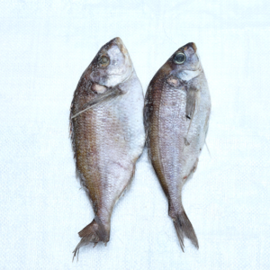 Hawk Fish per kg