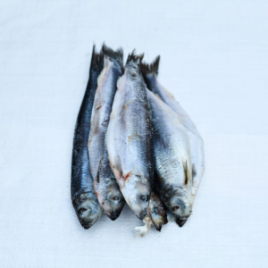 Herrings Fish (Per Kg)