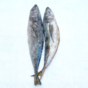 Kote (Mackerel) Per Kg