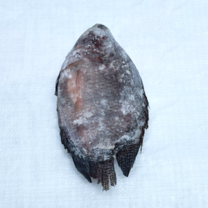 Tilapia Fish per kg